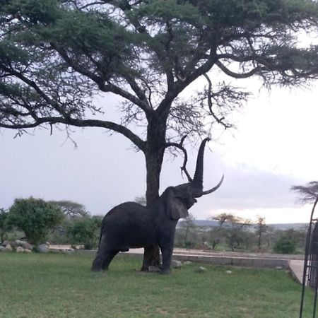 Seronera Wildlife Lodge セレンゲティ エクステリア 写真