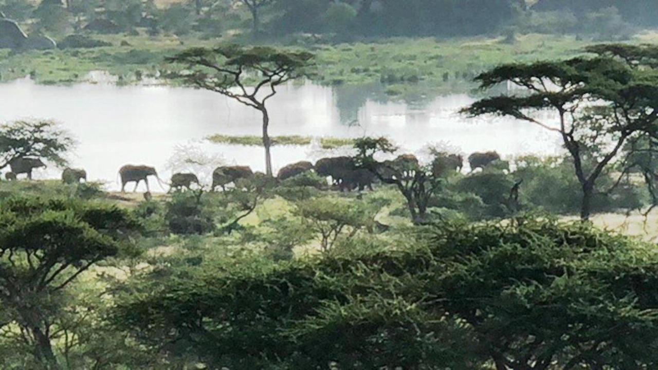 Seronera Wildlife Lodge セレンゲティ エクステリア 写真