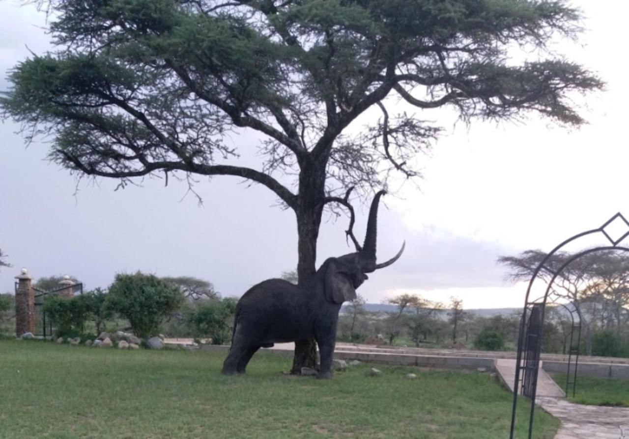 Seronera Wildlife Lodge セレンゲティ エクステリア 写真